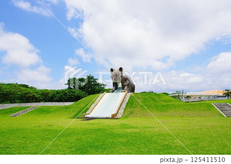 沖縄県西表島 ンママキーやまねこパーク 沖縄県西表島 ンママキーやまねこパーク 125411510