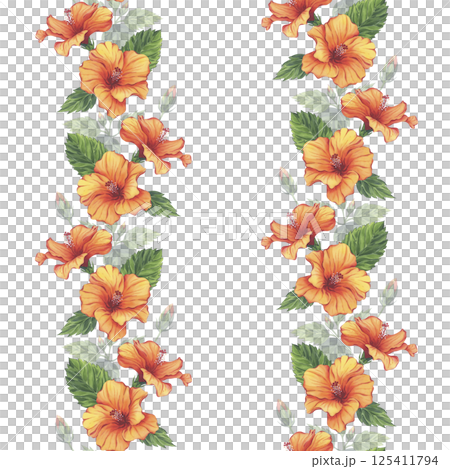 Orange hibiscus seamless watercolor pattern with lush green leaves. Hand-drawn border with vibrant flowers and rich green foliage. The illustration is ideal for textile, wallpaper, kitchen decor Orange hibiscus seamless watercolor pattern with lush green leaves. Hand-drawn border with vibrant flowers and rich green foliage. The illustration is ideal for textile, wallpaper, kitchen decor 125411794