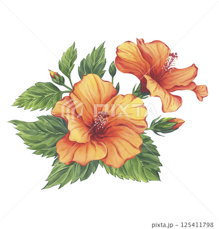 Yellow hibiscus watercolor branch with flowers, leaves and buds isolated on white background. Hand-drawn illustration. The composition is ideal for tropical branding, summer packaging Yellow hibiscus watercolor branch with flowers, leaves and buds isolated on white background. Hand-drawn illustration. The composition is ideal for tropical branding, summer packaging 125411798