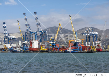 Novorossiysk, Russia 08.18.2023. Port cranes, Black Sea, port, Krasnodar Territory, Novorossiys Novorossiysk, Russia 08.18.2023. Port cranes, Black Sea, port, Krasnodar Territory, Novorossiys 125411800
