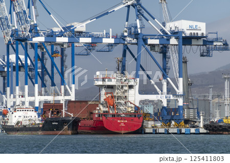 Novorossiysk, Russia 08.18.2023. Port cranes, Black Sea, port, Krasnodar Territory, Novorossiys 125411803
