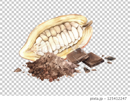 Cocoa bean cut in half, a mound of cocoa powder and chocolate pieces. Watercolor tasty illustration, suitable for chocolate branding, packaging design, product labels, menus, invitations and prints. Cocoa bean cut in half, a mound of cocoa powder and chocolate pieces. Watercolor tasty illustration, suitable for chocolate branding, packaging design, product labels, menus, invitations and prints. 125412247