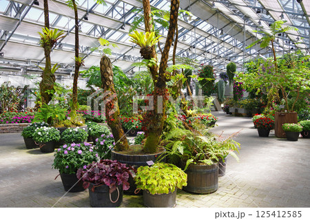 ナガシマリゾート なばなの里【ベゴニアガーデン】 125412585