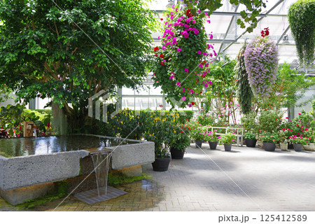 ナガシマリゾート なばなの里【ベゴニアガーデン】 ナガシマリゾート なばなの里【ベゴニアガーデン】 125412589