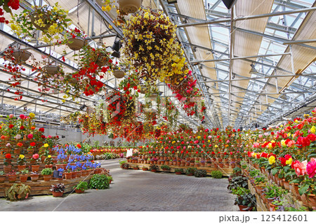 ナガシマリゾート なばなの里【ベゴニアガーデン】 125412601