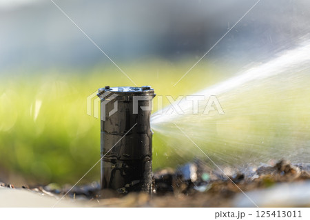 Lawn grass watering with automated sprinkler. Keeping green backyard during dry season 125413011