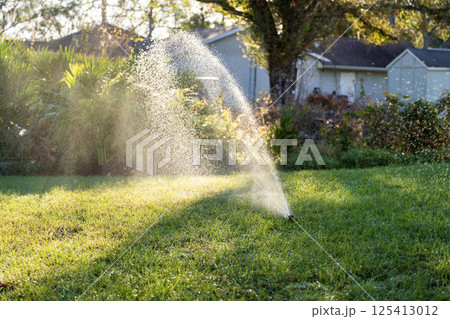 Lawn grass watering with automated sprinkler. Keeping green backyard during dry season 125413012