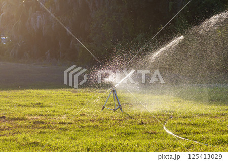 Lawn grass watering with automated sprinkler. Keeping green backyard during dry season Lawn grass watering with automated sprinkler. Keeping green backyard during dry season 125413029