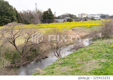 利根運河の春＜千葉県流山市におどり公園近く/2025年4月＞ 125413231