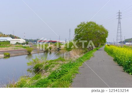 千葉県柏市大津川沿いの風景2025年4月 千葉県柏市大津川沿いの風景2025年4月 125413254