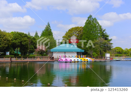 千葉県柏市柏の葉公園周辺2025年4月 125413260