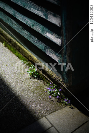 宿根木の町並み 125413308