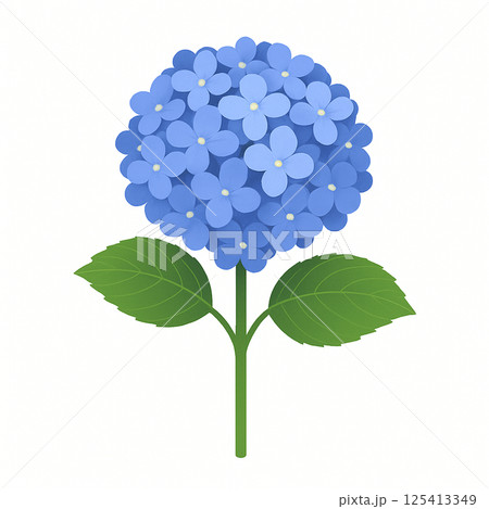 青い紫陽花のイラスト 青い紫陽花のイラスト 125413349