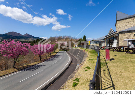 春の道の駅中山盆地 群馬県高山村 春の道の駅中山盆地 群馬県高山村 125413501