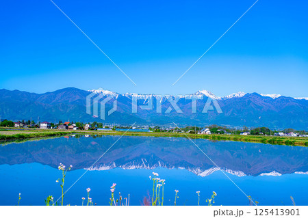 【初夏素材】初夏の安曇野の田園風景・水鏡【長野県】 125413901