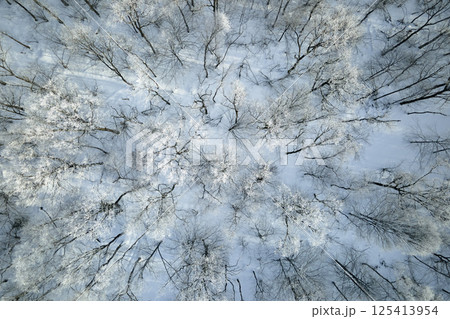Aerial view of snow covered white forest with frozen trees in cold winter. Dense wild woodland in wintertime Aerial view of snow covered white forest with frozen trees in cold winter. Dense wild woodland in wintertime 125413954
