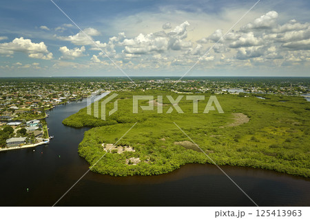 Aerial view of residential suburbs with private homes located near wildlife wetlands with green vegetation on sea shore. Living close to nature concept Aerial view of residential suburbs with private homes located near wildlife wetlands with green vegetation on sea shore. Living close to nature concept 125413963