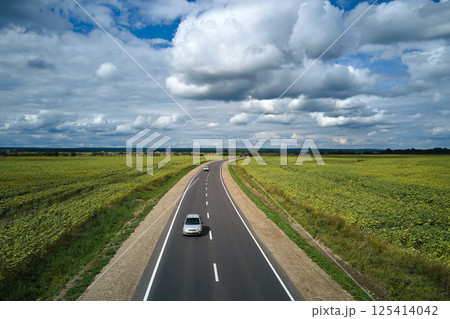 Aerial view of intercity road between green agricultural fields with fast driving car. Top view from drone of highway traffic 125414042