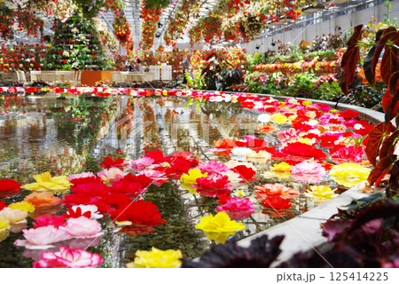 ナガシマリゾート なばなの里【ベゴニアガーデン】 125414225