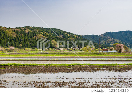 滋賀県湖北地方余呉の田園風景 125414339