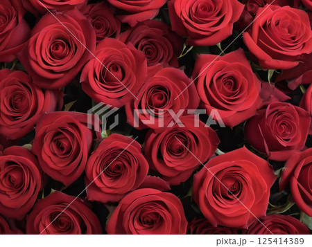 父の日の赤いバラの花束 父の日の赤いバラの花束 125414389