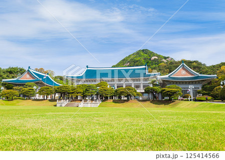 ソウル　韓国大統領府　青瓦台（チョンワデ） 125414566