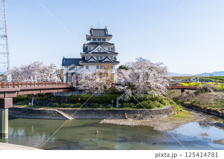 桜満開の墨俣一夜城付近の風景 125414781