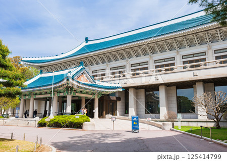 ソウル　元韓国大統領府　青瓦台（チョンワデ） 125414799