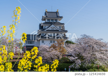 春の墨俣一夜城付近の風景 125414830