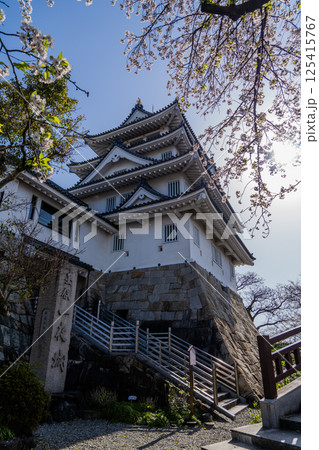 春の墨俣一夜城付近の風景 125415767