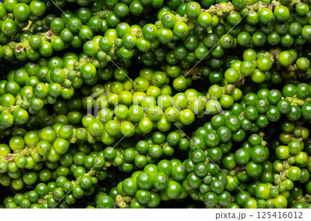 Heap of Fresh Green Young Peppercorns. Close-up Heap of Fresh Green Young Peppercorns. Close-up 125416012