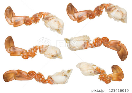 Set Of Steamed Blue Crab Scabbard Or Paddle-leg Meat Isolated On White Background 125416019