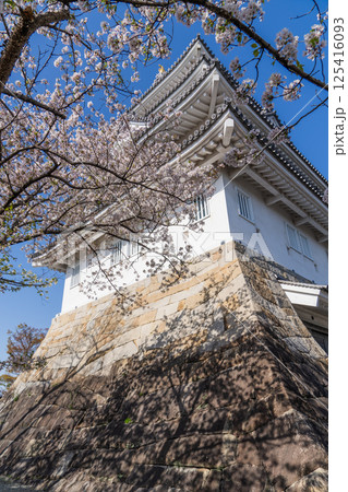 春の墨俣一夜城付近の風景 125416093