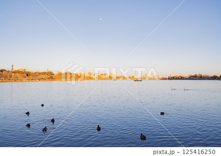 茨城 千波湖の夕景 茨城 千波湖の夕景 125416250