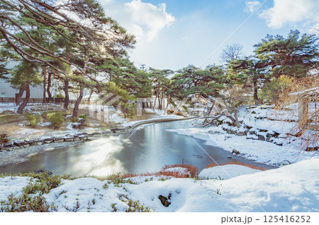 福島　冬の麓山公園（郡山市） 125416252