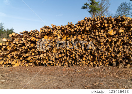積み上げられた木材 125416438