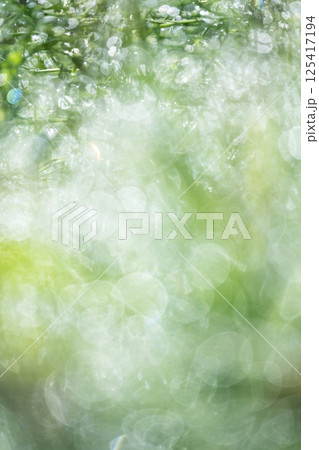 公園の新緑 キラキラ ファンタジー 公園の新緑 キラキラ ファンタジー 125417194