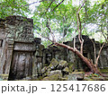 ベンメリア遺跡 125417686