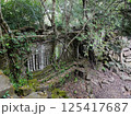ベンメリア遺跡 125417687