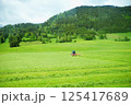 畑仕事 125417689