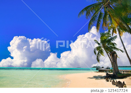 パラオの美しいサンゴ礁の海 125417724