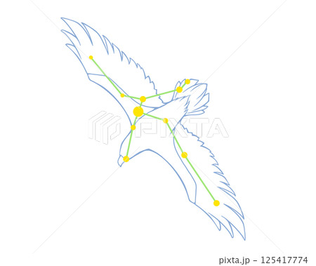 わし座のカラーイラスト 125417774