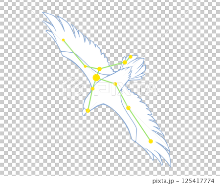 Color illustration of Aquila 125417774