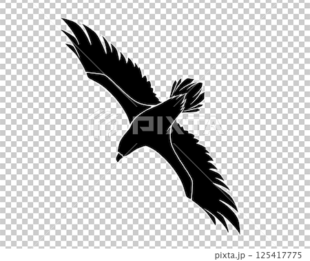 翼を広げて飛ぶ鷲の白黒イラスト（白フチあり） 125417775
