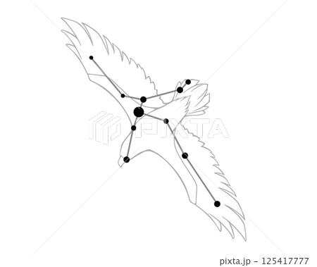 わし座の線画イラスト 125417777