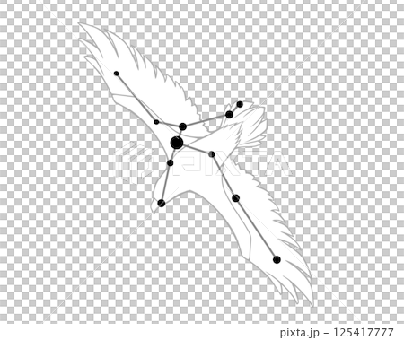 阿奎拉的線條圖畫插圖 阿奎拉的線條圖畫插圖 125417777