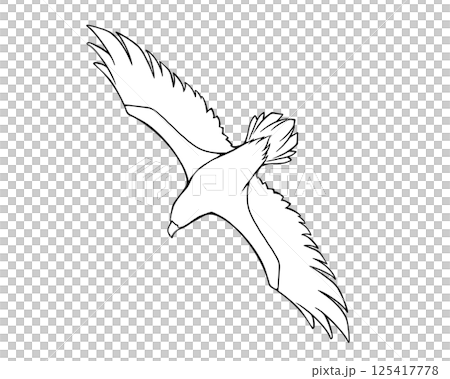 一隻展翅飛翔的鷹的線條畫插圖 125417778
