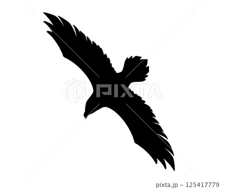 翼を広げて飛ぶ鷲のシルエットイラスト 125417779