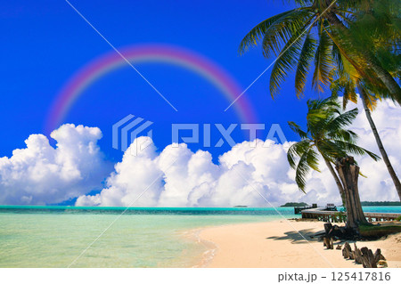 パラオの美しいサンゴ礁の海 125417816