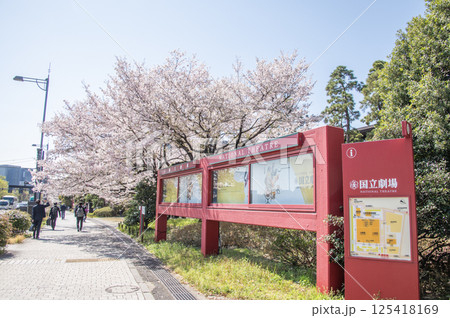 国立劇場前の桜　東京都千代田区隼町 125418169